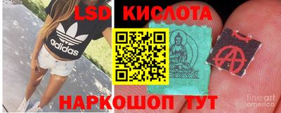 ешки Будённовск