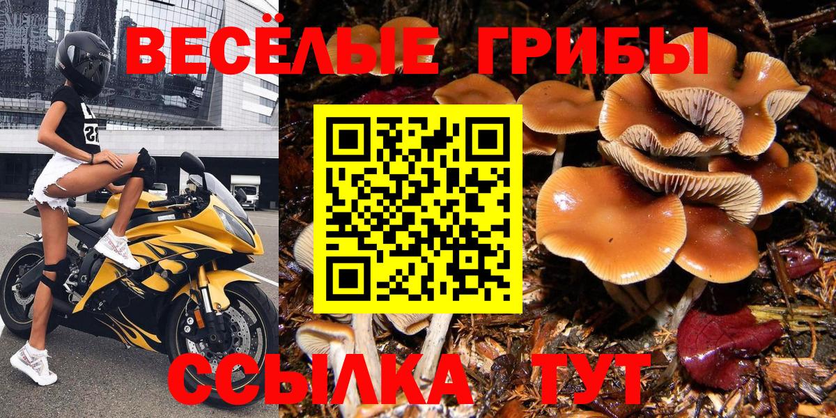 Галлюциногенные грибы MAGIC MUSHROOMS Новоуральск